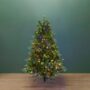 4.5′ Alberta Spruce Deluxe Tree